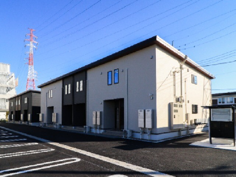 ���R�̃V�����E�h�E�t���[�� �Z