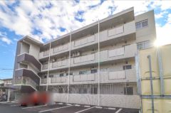 �Ȗ،����R�s�O���̃}���V�����̌����O��