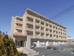 �Ȗ،��F�s�{�s�䂢�̓m�R���ڂ̃}���V�����̌����O��